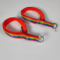 Preview: Halsband Zug-Stop, 3.0 - 3.5cm, 25 - 55cm, Neopren Regenbogen orange