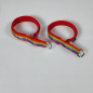 Preview: Halsband Zug-Stop, 3.0 - 3.5cm, 25 - 55cm, Neopren Regenbogen rot