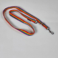 Preview: Leine 3fach verstellbar 1.6 - 2m,  25mm, Regenbogen