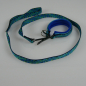 Preview: Agilityleine mit Jagdkarabiner, Halsband mit Neopren 3.0 & 3.5cm, 25 - 45cm Wellen blau, blau