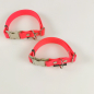 Preview: Halsband Click, 2 - 2.5cm, 30-65cm, wasserfest neonpink Biothan 2 Breiten, 2 Längen