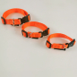 Preview: Halsband Click, 1.5 - 2.5cm, 25-65cm Neonorange