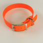 Preview: Halsband mit Dorn, 27 - 55cm, wasserfest orange Biothan 20 + 25mm Breite, orange