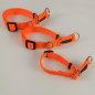 Preview: Halsband Zug-Stop verstellbar  1.5 - 2.5cm, 20 - 60cm Neonorange