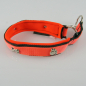 Preview: Halsband Zug-Stop, 3.5cm, 30 - 55cm, Neopren + Nieten Nieten Pfote + Knochen, neonorange, schwarz, neonorange