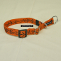 Preview: Halsband Zug-Stop verstellbar  1.5 - 2.5cm, 20 - 60cm Tattoo orange - schwarz