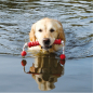 Preview: Trixie, Dog Activity Mot-Long, schwimmend 20 cm