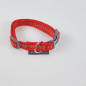 Preview: Halsband Click, 1.5cm, 25-46cm, reflex rot reflex rot