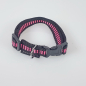 Preview: Halsband Click, 1.5cm + 2cm, 18.5-46cm schwarz - pink gestreift