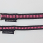 Preview: Halsband Click, 1.5cm + 2cm, 18.5-46cm schwarz - pink gestreift