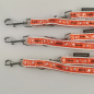 Preview: Leine 3fach verst. 1.6 - 2m, 20mm, mit swiss Borte swiss, rot weiss