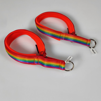 Halsband Zug-Stop, 3.0 - 3.5cm, 25 - 55cm, Neopren Regenbogen orange