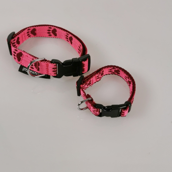 Halsband Click, 1.0 + 1.5cm, 16.5-46cm Pfoten pink - bordeaux