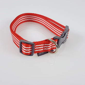 Halsband Click, 2.5cm, 30-65cm, rot - weiss gestreift rot - weiss gestreift