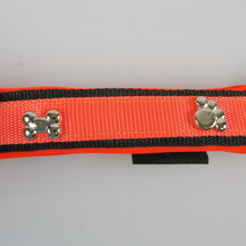 Halsband Zug-Stop, 3.5cm, 30 - 55cm, Neopren + Nieten Nieten Pfote + Knochen, neonorange, schwarz, neonorange