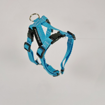 Geschirr Mini, 1.0cm, Hals 18-28cm, Bauch 26-38cm aqua