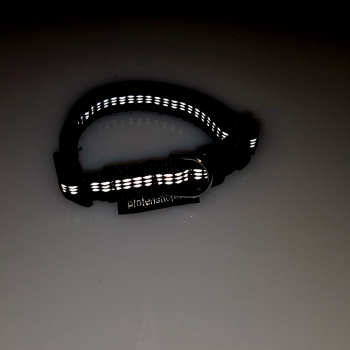 Halsband Click, 1.5cm, 25-46cm, reflex schwarz reflex schwarz