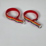 Halsband Zug-Stop, 3.0 - 3.5cm, 25 - 55cm, Neopren Regenbogen rot